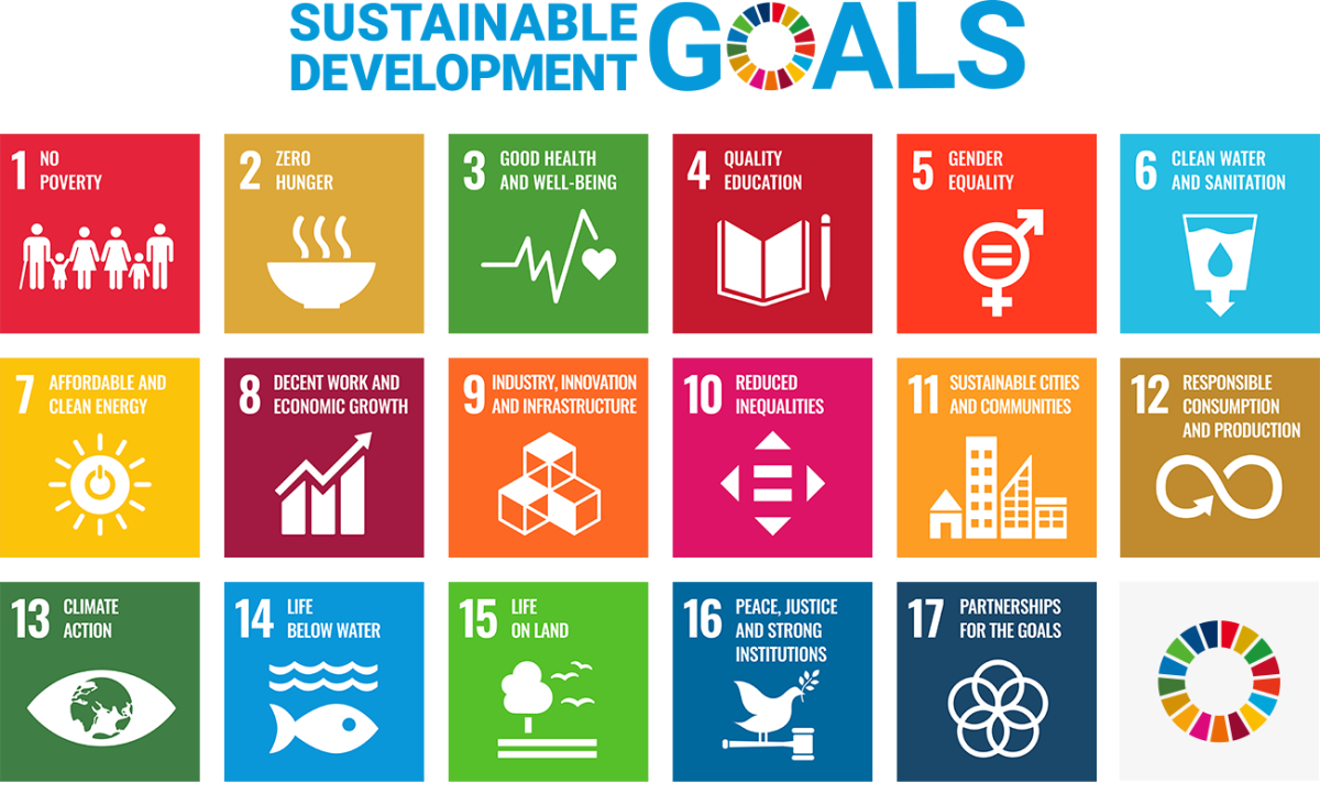 SDG Goals IIMT